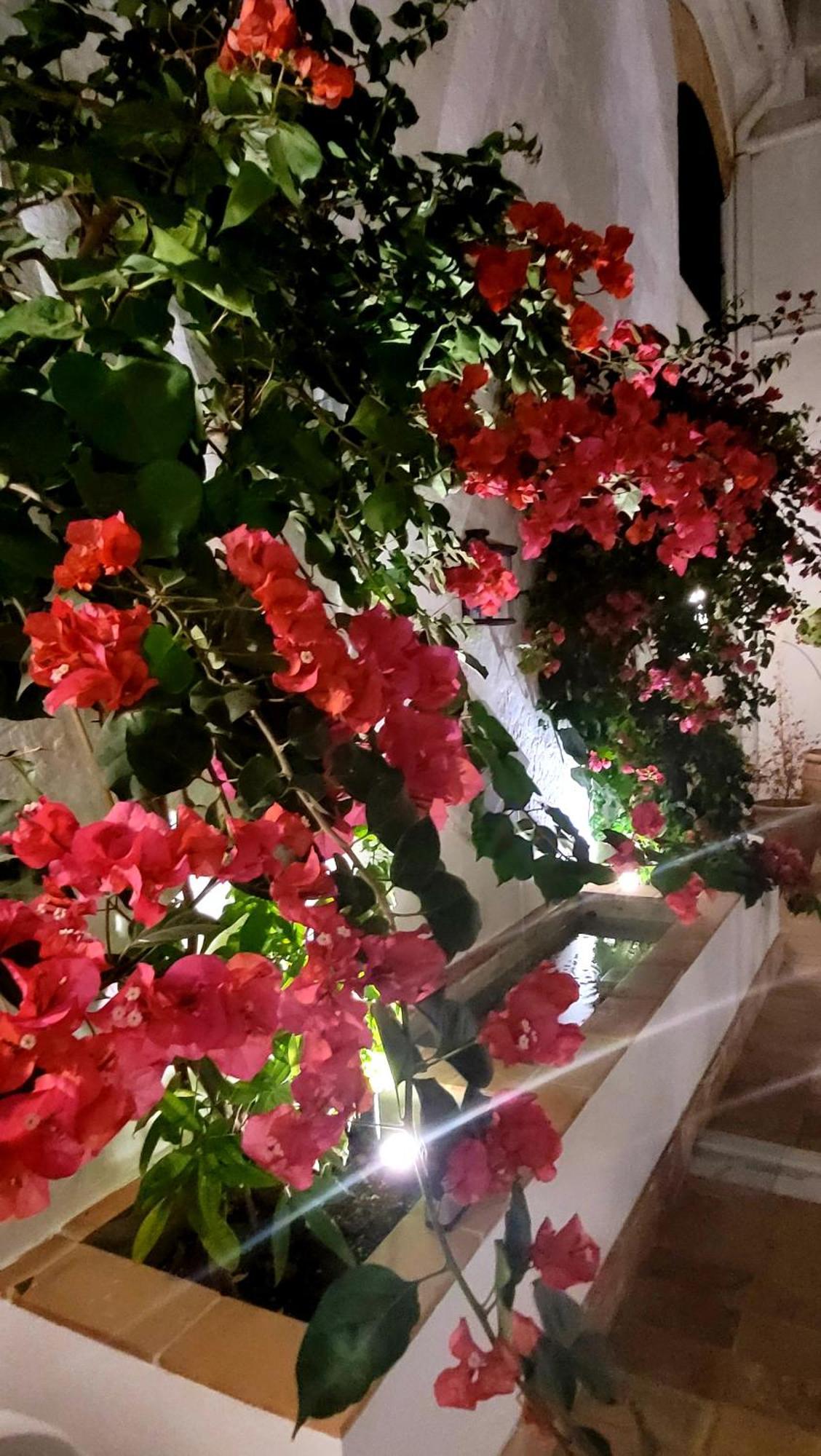 Albariza Hotel Boutique Sanlúcar de Barrameda المظهر الخارجي الصورة